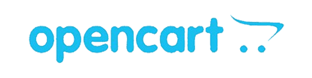 Web Development Company Delhi
